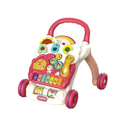 4 In 1 Baby Push Walker